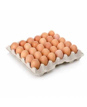 Dasoon Fresh Eggs 30s