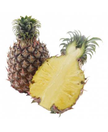 Josapine Pineapple 1s