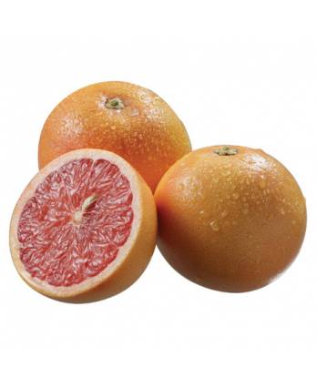 South African Grapefuit 1pcs