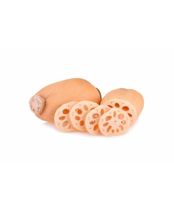China Lotus Root 700 - 800g