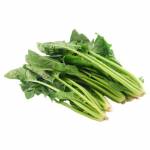 China Spinach