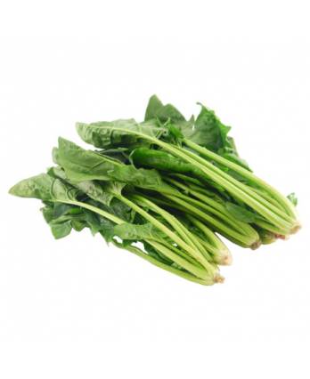 China Spinach