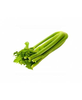 Chinese Celery - Daun Sup