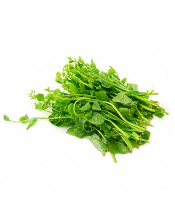 Di Huang Miao 250g