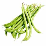 Vegetables