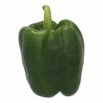 Fresh Produce
