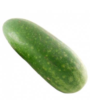 Hairy Gourd