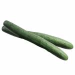 Japanese Cucumber 500g