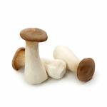 Mushrooms