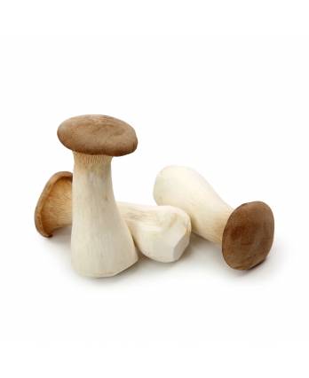 King Oyster Mushroom 200g