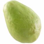 Malaysia Cameron English Gourd 400g
