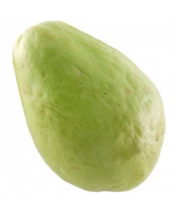 Malaysia Cameron English Gourd 400g