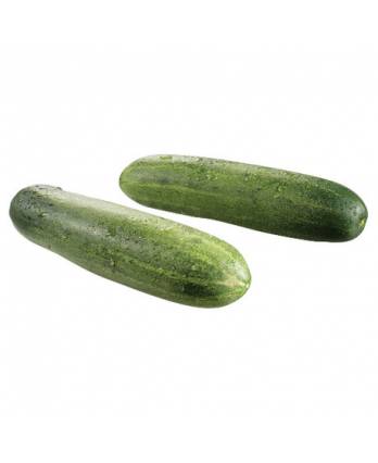 Malaysia Cucumber 700 - 800g