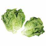 Fresh Produce