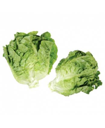Malaysia Baby Romaine 400g