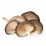 Mushrooms