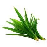Pandan Leaf 150g