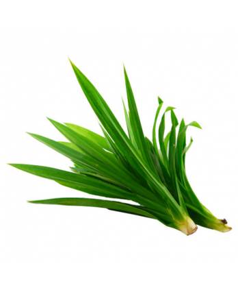 Pandan Leaf 150g