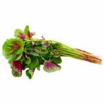 Vegetables