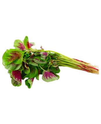 Red Spinach 250g