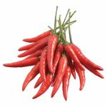 Vegetables