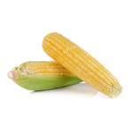 Sweet Corn 2pcs