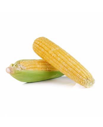 Sweet Corn 2pcs