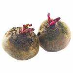 Vietnamese Beet Root 350g - 400g
