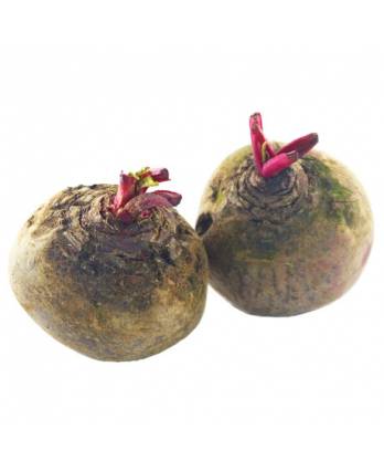 Vietnamese Beet Root 350g - 400g