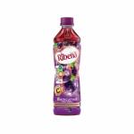 Ribena Blackcurrant Regular Bottled 450ml