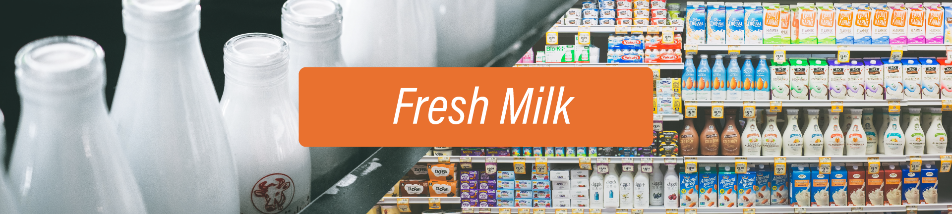 Fresh Milk
