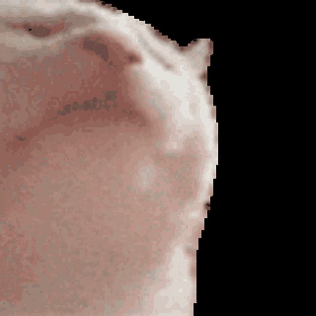 Catjam